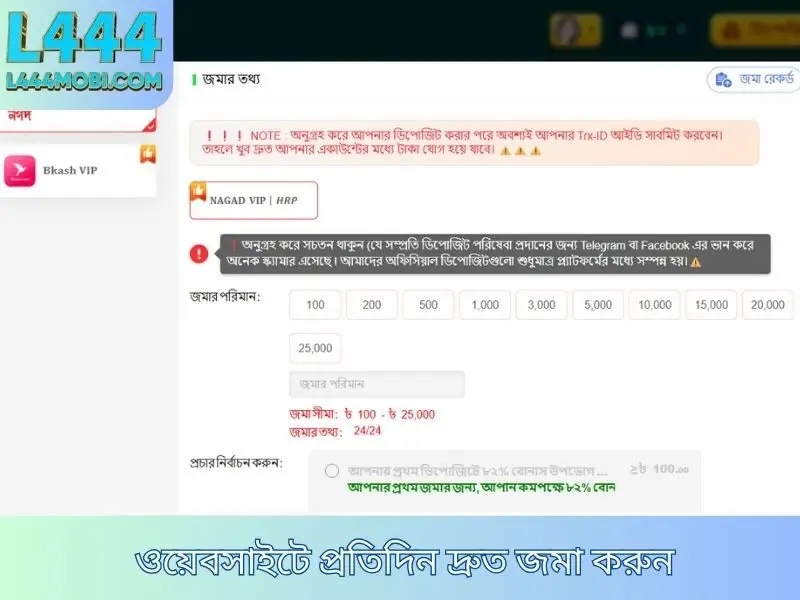 Fast daily deposits on the website